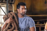Jayam Ravi (aka) Jeyam Ravi