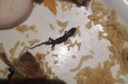 Dead lizard found in biryani, eatery served notice