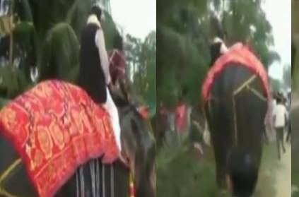 Deputy speaker of Assam assembly falls off an elephant