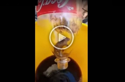 man found dead mouse in coca-cola bottle