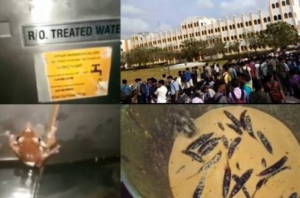 Strike-TN College Students found frogs, rabbits in hostel food & water
