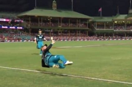 Watch: McCullum\'s unbelievable catch goes viral and creates debate