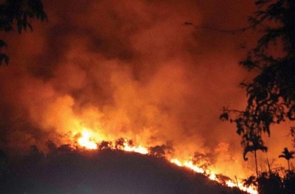 TN govt's negligence, reason for Kurangani forest fire - Centre