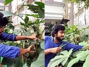 This actor just made Onasadhya with home-grown veggies; Yummy!
