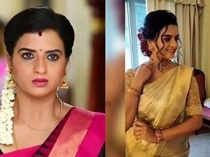 Naam Iruvar Namakku Iruvar Thamarai actress Rashmi Jayraj marriage video